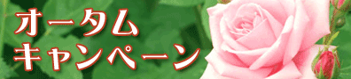 オータムキャンペーン
